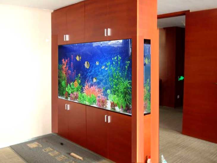 昆明搬家搬運魚缸需要注意的事項有哪些？